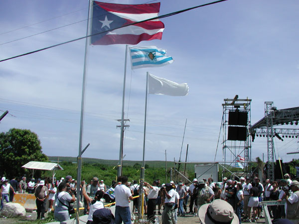 flags